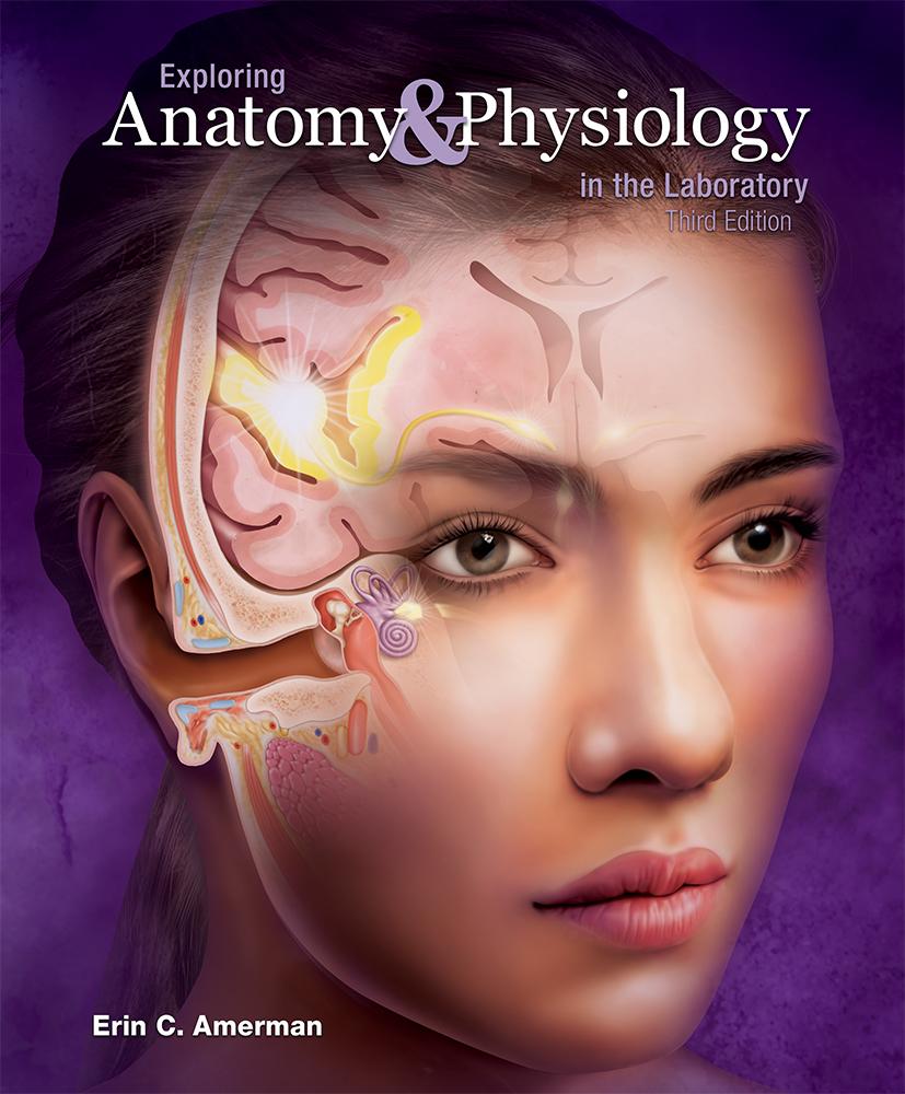Exploring Anatomy & Physiology in the Laboratory, 3e cover photo