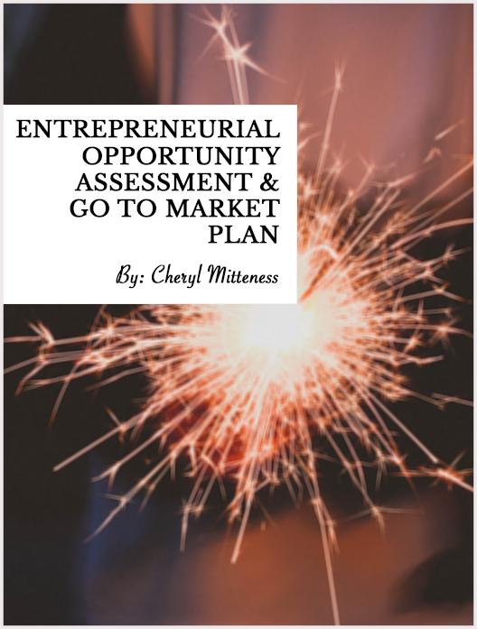 Entrepreneurial Opportunity Assessment & Go to Market Plan cover photo