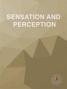 Sensation and Perception cover photo