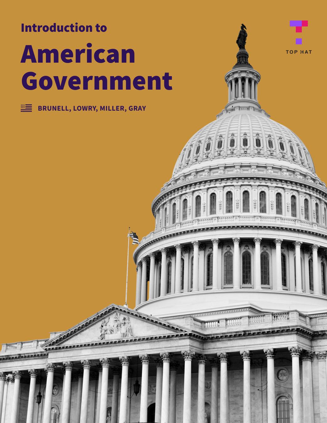 An Introduction to American Government cover photo