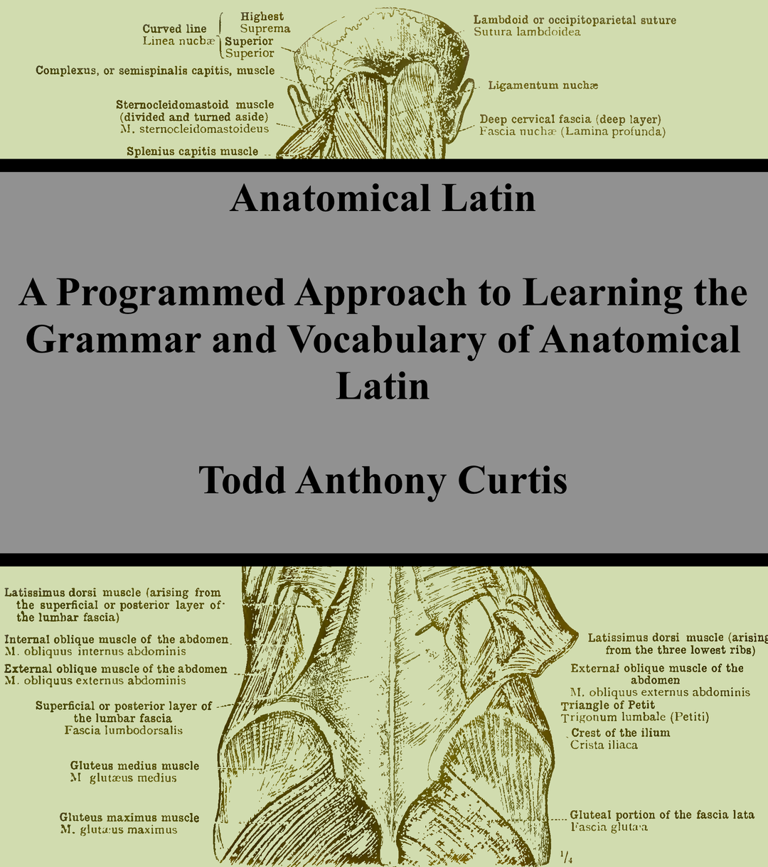 Anatomical Latin cover photo