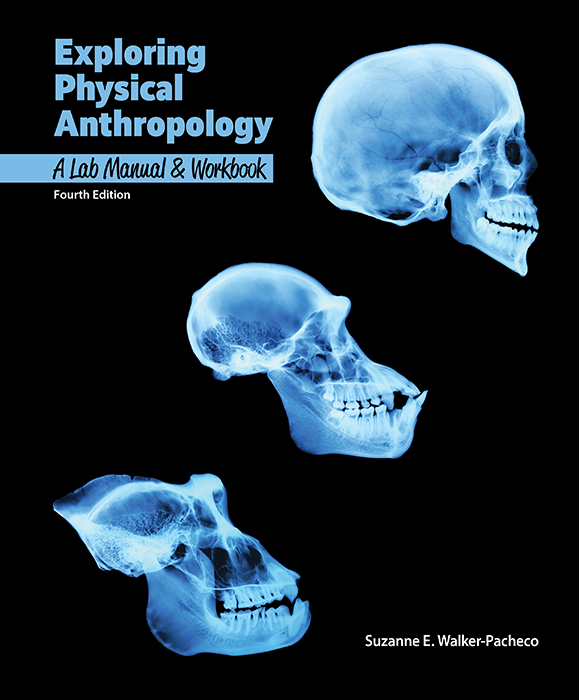 Exploring Physical Anthropology: Lab Manual and Workbook, 4e cover photo