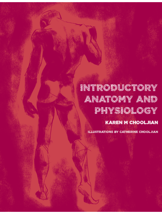 Introductory Anatomy and Physiology: Text & Lab Manual cover photo