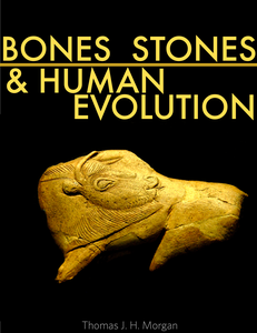 Bones, Stones and Human Evolution cover photo