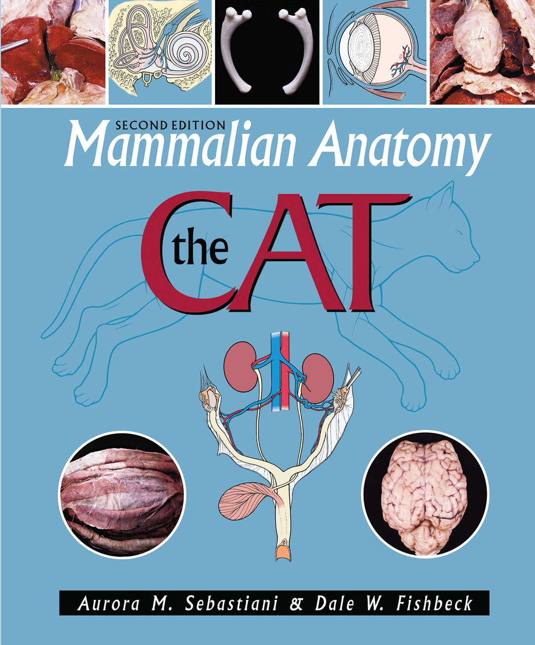 Mammalian Anatomy: The Cat, 2e cover photo