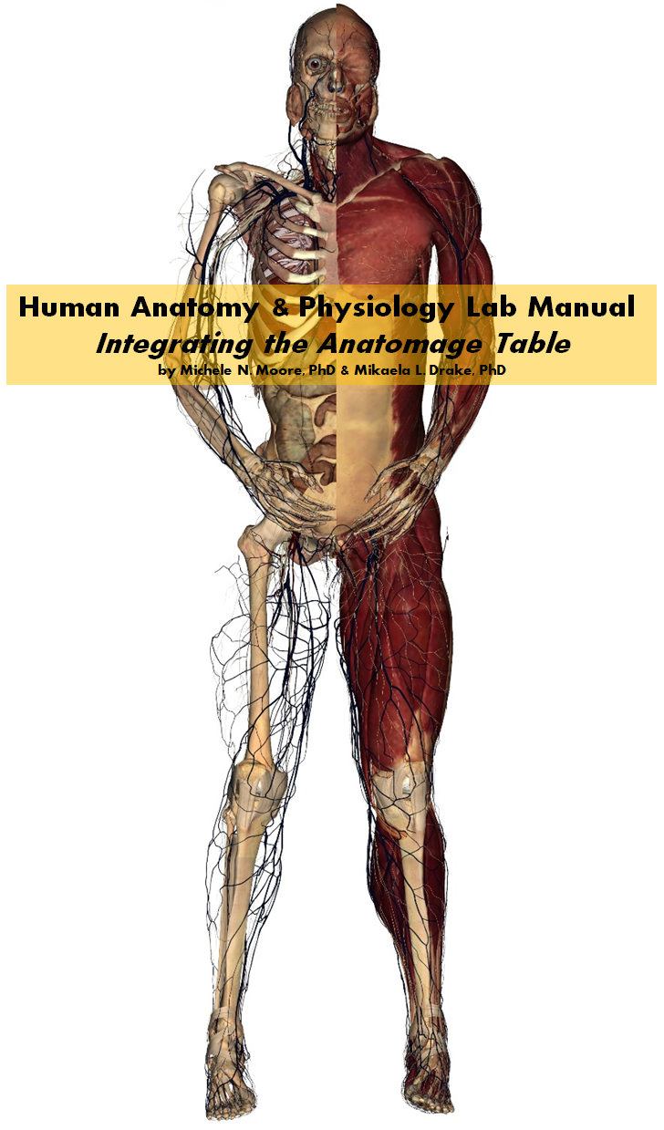 Human Anatomy and Physiology Lab Manual Integrating the Anatomage Table cover photo