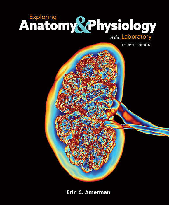 Exploring Anatomy and Physiology in the Laboratory, 4e cover photo