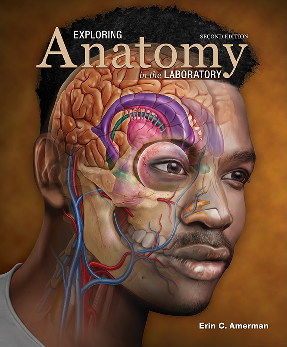 Exploring Anatomy in the Laboratory, 2e cover photo