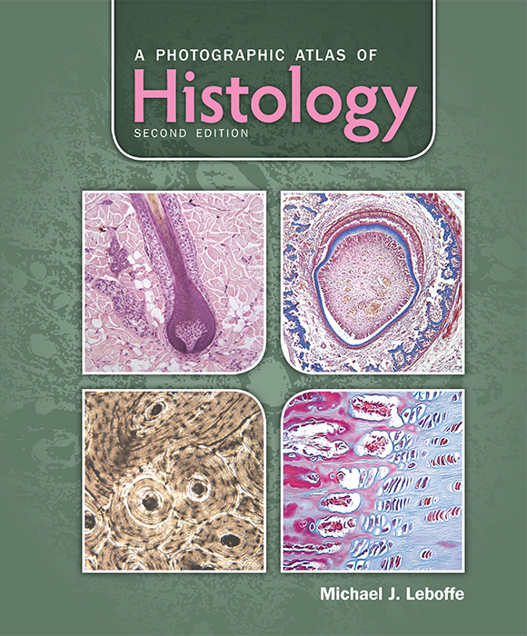 A Photographic Atlas of Histology, 2e cover photo