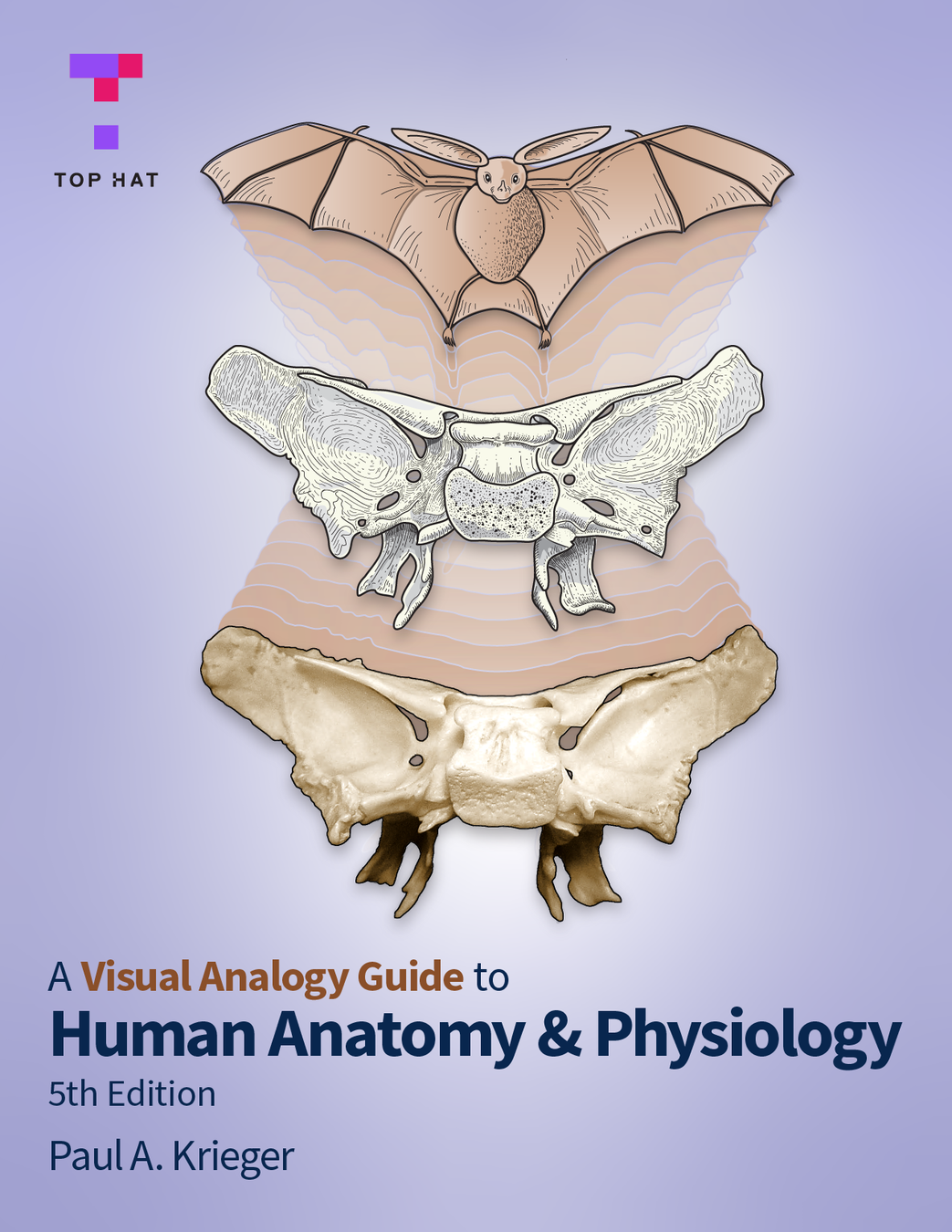 A Visual Analogy Guide to Human Anatomy & Physiology, 5th Edition (Sample) cover photo