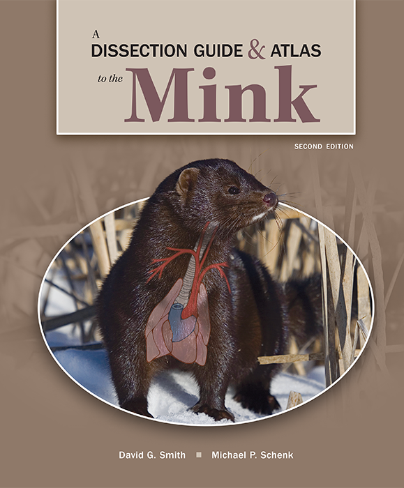 A Dissection Guide and Atlas to the Mink, 2e cover photo