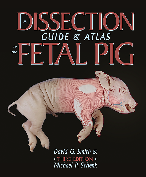 A Dissection Guide and Atlas to the Fetal Pig, 3e cover photo