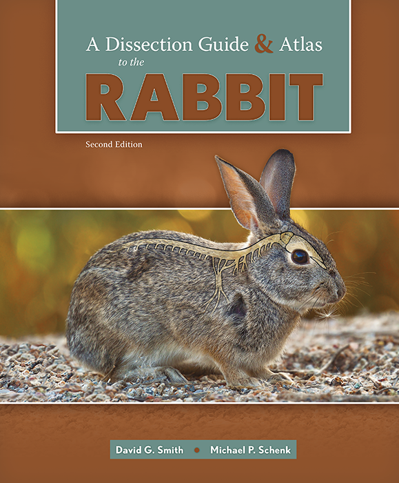 A Dissection Guide and Atlas to the Rabbit cover photo