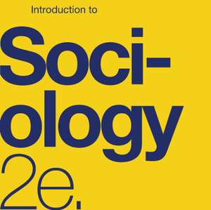 Society and Social Interaction cover photo