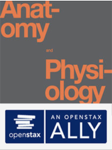 OpenStax: Anatomy and Physiology cover photo