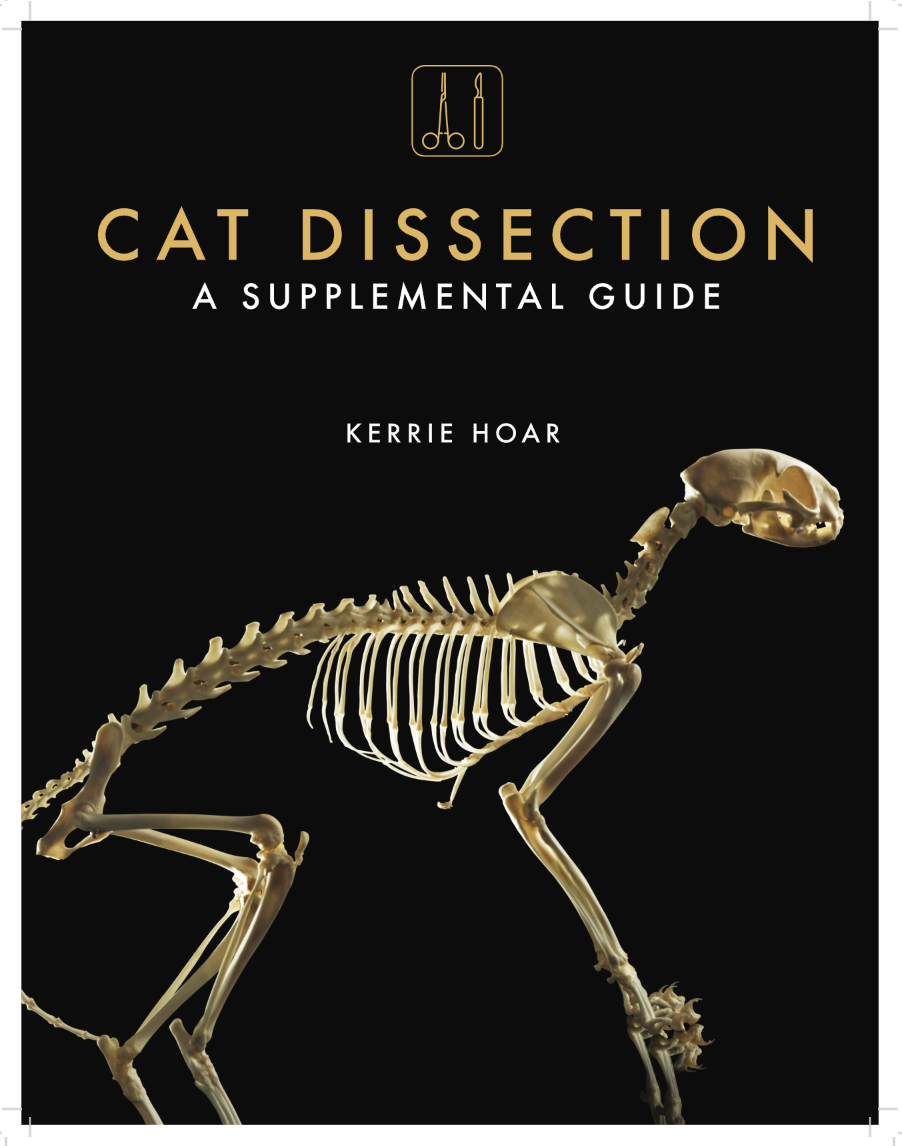 Cat Dissection: A Supplemental Guide cover photo