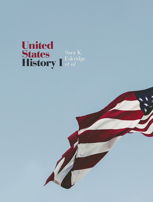 United States History I cover photo
